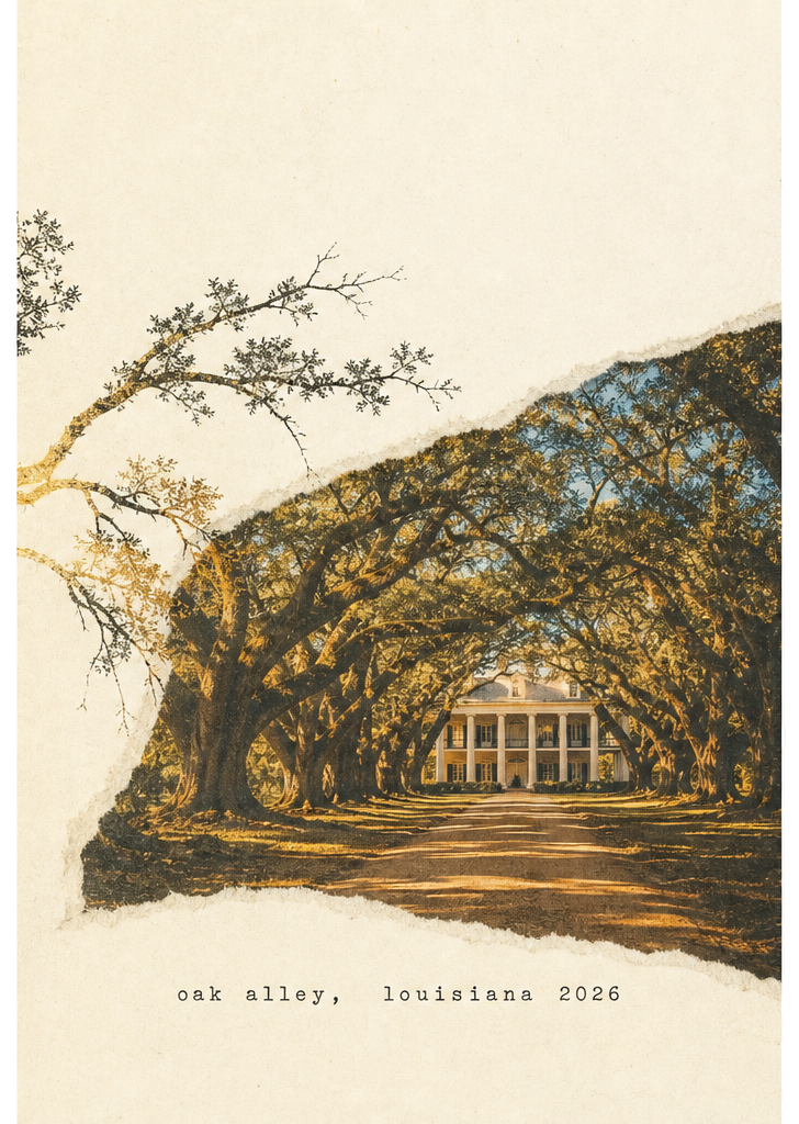 Torn-paper postcard of an oak-lined drive. Caption: oak alley, louisiana 2026.